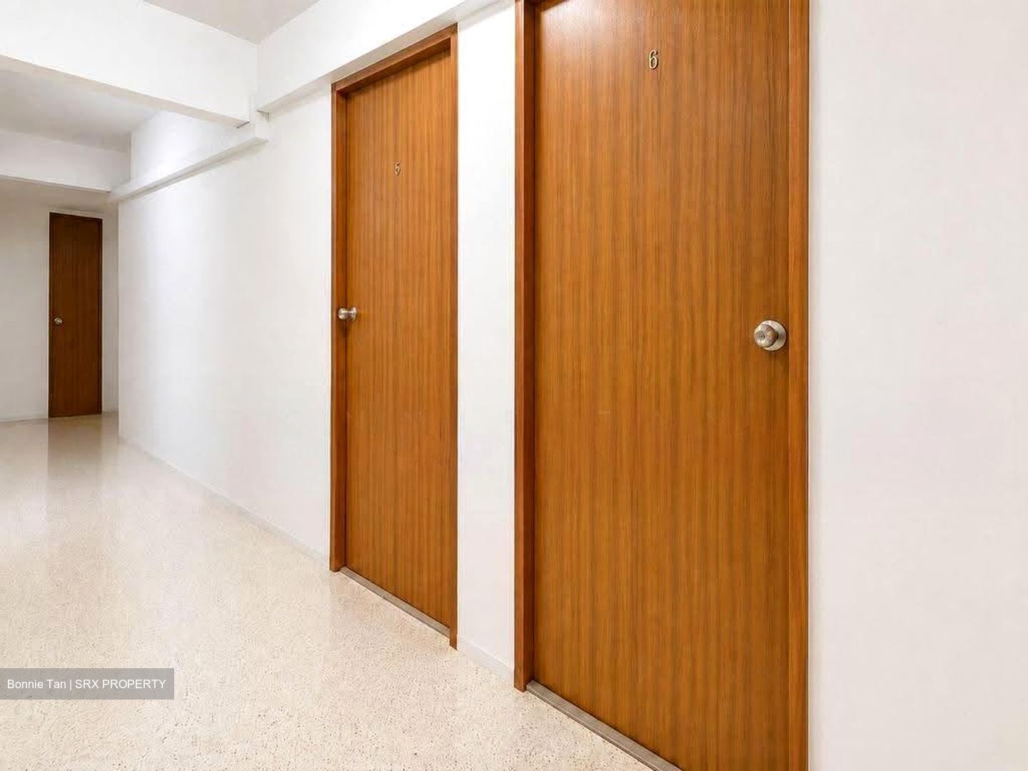 Spottiswoode Park (D2), Apartment #639055511